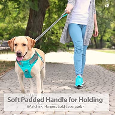 PHOEPET 5 Feet Dog Leash - Dual-Side Reflective - Soft Padded Handle - Fit for Walking, Training or Exploring Hiking, Camping (Grey + Mint Green Base) - Image 2