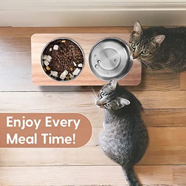 Siooko Elevated Cat Bowls, 15° Tilted Raised Cat Food Bowls Wood Pet Bowls with Stand Anti Vomiting 2 Stainless Steel Bowls for Cats and Puppy - Image 7