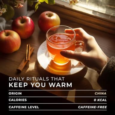 Gya Tea Co Cinnamon Apple Tea pod Tea Gift Set (16 ct) - Decaf Apple Cider for Soothing & Digestive Health - Image 5