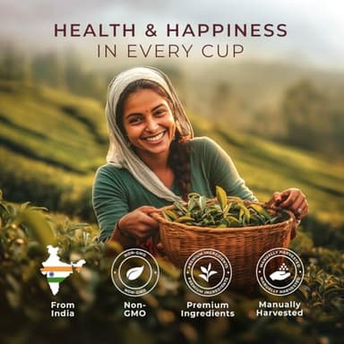 Gya Tea Co Turmeric Ginger Tea Bags (20 Bags) - Decaf Ginger Turmeric Tea For Body Comfort & Digestion Health - Fruit & Herbal Blends - Image 5
