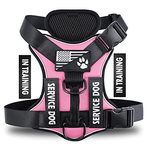 Demigreat Service Dog Harness, Reflective Dog Vest Harness with 5 PCS Patches, Adjustable Soft Oxford Pet Harness, Inner Layer Mesh, Easy to Control for Dogs - Image 1