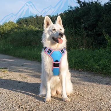 Eagloo Dog Harness for Large Dogs, No Pull Service Vest with Reflective Strips and Control Handle, Adjustable and Comfortable for Walking, No Choke Pet Harness with 2 Metal Rings, Pink & Blue, XL - Image 8