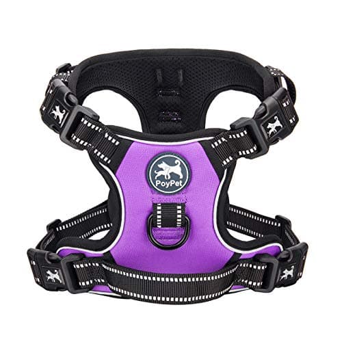 PoyPet 2019 Upgraded No Pull Dog Harness with 4 Snap Buckles, Reflective with Front & Back 2 Leash Hooks and an Easy Control Handle [NO Need Go Over Dog’s Head](Purple,L) - Image 1