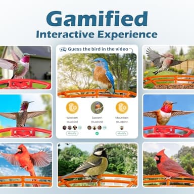 Smart Bird Feeder with Camera, 2K HD Birdwatching Camera with AI Identify Bird Species & Solar Panel, Auto Video Capture & Instant Notifications, Ideal Gifts for Lover, Deep Blue - Image 8