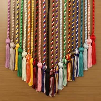 Graduation Cords, Cords for Graduation 2025, Light Blue White 68" Grad Chords Honor Cord Tassel Ropes for Grad Accessories Party Decorations Ceremonies College Students Master Doctoral Bachelor Gown - Image 6