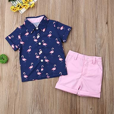 VISGOGO Toddler Baby Boy Flamingo Short Sleeve Button Down Shirt & Casual Shorts Set Summer Outfits 1-6 Years Clothes - Image 7