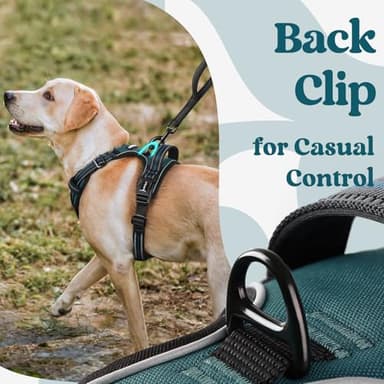rabbitgoo Dog Harness Medium Sized, No Pull Pet Harness with 3 Buckles, Adjustable Soft Padded Vest with Control Handle, Walking Reflective Pet Vest for Medium Dogs, Blue Coral, M - Image 6