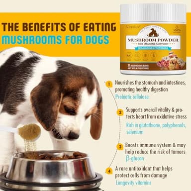 Mushroom Supplement Powder for Dogs & Cats, Turkey Tail Mushroom for Pets, Lipoma for Cats, 11 Organic Mushroom Complex, Partner Guard for Dogs Lumps and Bumps - Image 5