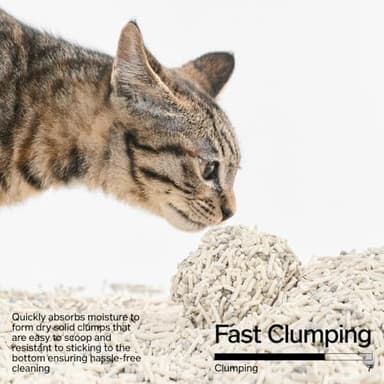 pidan Mix Cat Litter,Tofu Cat Litter with Bentonite 70%:30%,Absorbent and Fast Drying,Flushable Tofu Litter,Selected Quality Pea Dregs,5-Fold Water Absorption,Strong Clumping(5.3lb×4bags) - Image 4