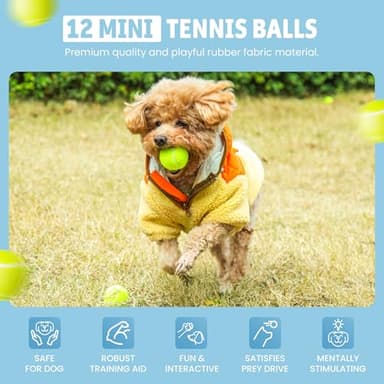 WRTZ 12 Small Tennis Balls for Dogs | 2 Inch Dog Fetch Toys for Your Smaller Pups | Non-Abrasive for Smaller Mouths | Interactive Dog Toys for Boredom & Fun | Works with Ball Launcher for Small Dogs - Image 6
