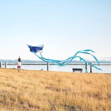 Simxkai 3 Pack Kites-Rainbow Delta Kite, Red Octopus, Blue Butterfly, Easy to Fly for Kids & Adults - Image 7