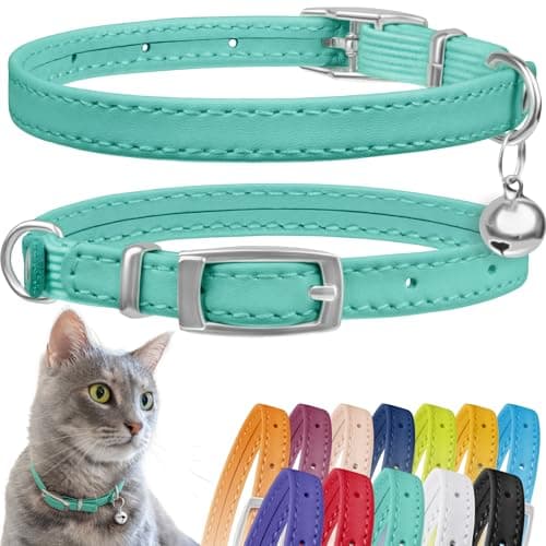 CollarDirect Leather Cat Collar with Bell - Kitten Collar, Small and Big Cat Collar for Boy Cats, Girl Cats with Safety Elastic Strap (Neck Fit 8"-11", Mint Green) - Image 1