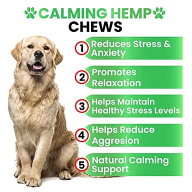 Grateful Pawz Hemp Calming Chews for Dogs - Dog Calming Chews - 170 Anxiety Relief Treats with Hemp Oil - Sleep Aid - Advanced Health Joint Support Supplement - Health & Wellness - Image 2