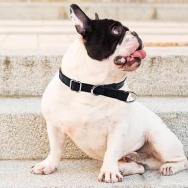 MayPaw Leather Slip Dog Collar, No-Choke Dog Collar with Slider Stopper No Pull Training Dog Collar for Small and Medium Large Dogs (5/8" Wide x 14" Long, Brown) - Image 5