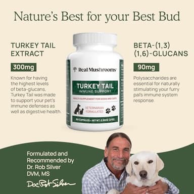 Real Mushrooms Turkey Tail Capsules for Pets –Cat Probiotics & Dog Vitamins – Organic Mushroom Supplement for Dogs & Cats – Supports Daily Balance & Well-Being Non-GMO, 90 ct - Image 3
