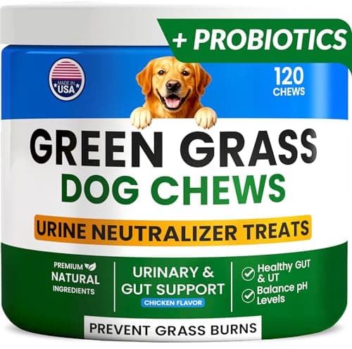 PAWFECTCHEW Green Grass Dog Chews w/Probiotics - Prevent Urine Burning Grass - Dog Pee Grass Spot Saver - Dog Urine Neutralizer for Lawn Treats, UT & Gut Health for Dogs, Lawn Burn from Dog Urine - Image 1