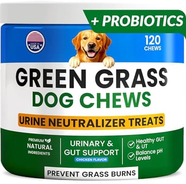 PAWFECTCHEW Green Grass Dog Chews w/Probiotics - Prevent Urine Burning Grass - Dog Pee Grass Spot Saver - Dog Urine Neutralizer for Lawn Treats, UT & Gut Health for Dogs, Lawn Burn from Dog Urine - Image 1