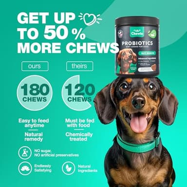 Probiotics for Dogs Gut Health, Digestion, Immunity, Yeast Balance, Itchy Skin, Allergies Support - Dog Probiotic Chews with Digestive Enzymes for Gut Flora- Soft Treats with Pumpkin and Yeast Powder - Image 6