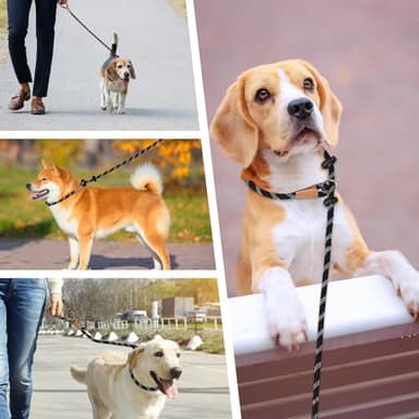 lynxking Slip Lead Dog Leash Reflective, Heavy Duty Comfortable Strong Rope for Large Medium Small Dogs No Pull Pet Training (Black, 2PCS Large 1/2in x 6ft) - Image 6