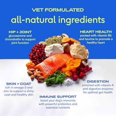 Native Pet Dog Vitamins & Supplements - 11-in-1 Multivitamin Powder for Dogs Food Topper - Collagen, Glucosamine, Probiotics, Omega & More- Supports Healthy Gut, Mobility & Overall Health -30 Scoops - Image 3