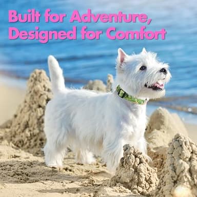 JC HOUSE Medium Dog Collar with Reflective Logo and Soft Padded Neoprene,Summer Tropical Leaf Design, Adjustable,Lightweight & Durable, Neck Size 12’’-20’’ (Leaf, M) - Image 5