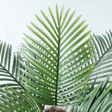 Nafresh 10ft Tall UV Resistant Faux Palm Tree, 120in Artificial Palm Tree Indoor Outdoor with Real Bark and Realistic Leaves and for Home House Office Living Room Yard Patio. - Image 3