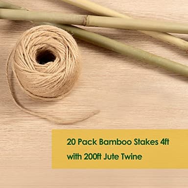 Cambaverd Bamboo Stakes 4 Feet Thicker Garden Stakes with Garden Twine, Diameter of 0.55in Natural Plant Stakes Bamboo Poles for Climbing Plants Support Tomato Cage - 20 Pack Bamboo Sticks for Plants - Image 4
