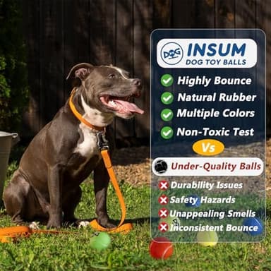 Squeaky Tennis Balls for Dogs - 12 Pack 2.5'' Durable Non-Toxic Outdoor Dog Toys Balls with Mesh Bag, SGS Certified, Colorful Fetch Toys, Medium Large Breeds - Image 7