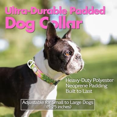 JC HOUSE Medium Dog Collar with Reflective Logo and Soft Padded Neoprene,Summer Tropical Leaf Design, Adjustable,Lightweight & Durable, Neck Size 12’’-20’’ (Leaf, M) - Image 2