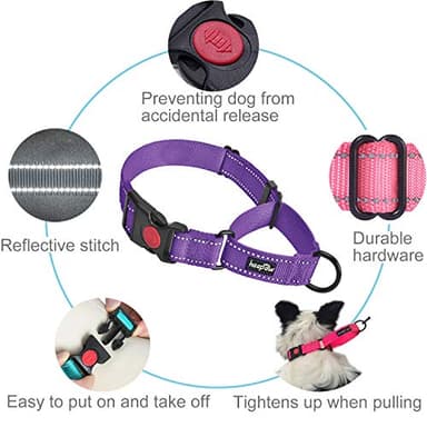 haapaw 2 Packs Martingale Dog Collar with Quick Release Buckle Reflective Dog Training Collars for Small Medium Large Dogs - Image 2