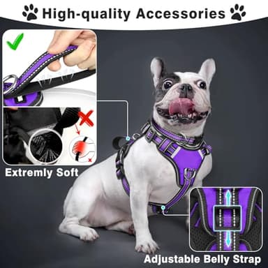 WINSEE Pet Harness Collar and Leash Set, All-in-one Reflective Dog Harness No Pull with Adjustable Buckles for Puppies, Small, Medium, Large, and Extra-Large Dogs (X-Large, Purple) - Image 2