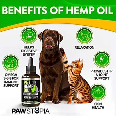 (2 Pack) Hemp Oil for Dogs and Cats - Helps Pets with Anxiety, Pain, Stress, Sleep, Arthritis, Seizures Relief - Cat Anxiety Relief - Omega 3-6-9 - Pet Hemp Oil Drops Treats - Hip and Joint Support - Image 2