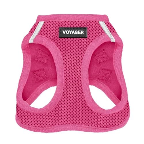 Best Pet Supplies Voyager Step-in Air Harness - All Weather Mesh, Reflective, No Pull Harness for Dogs, Cats - Secure with Hook & Loop Fastener, Buckle, Double D-Rings - Fuchsia, M - Image 1