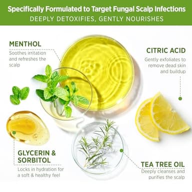 Roycederm Tea Tree Scalp Scrub: Anti Fungal Pre Shampoo, Itchy Relief Scalp Treatment for Dandruff, Psoriasis & Seborrheic Dermatitis - Gently Exfoliator, Relieves Dryness, Promotes Hair Growth - Image 3