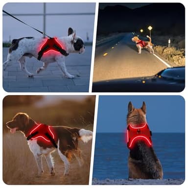 Pewkim Light Up Dog Harness, Led No-Pull Reflective Dog Vest, Breathable Adjustable Pet Harness with Handle for Outdoor Walking - No More Pulling, Tugging or Choking (Red, S) - Image 6