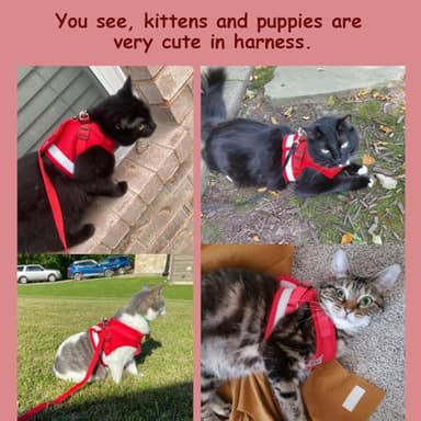 Cat Harnesses and Puppy Harness with Leashes Set, Escape Proof Cat Harness, Adjustable Reflective Soft Mesh Vest Fit Puppy Kitten Rabbit Ferrets's Outdoor Harness - Image 3