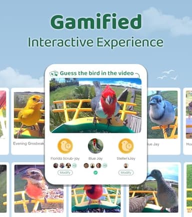 HIXX Smart Bird Feeder with Camera, Lifetime Free AI Bird Species Recognition, Solar-Powered Video Birds Feeder for Outdoors with HD Camera, Mounts Anywhere (Green) - Image 6