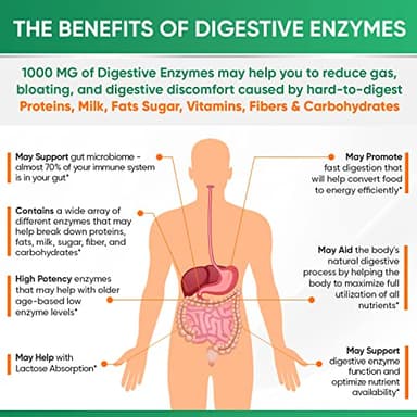 Wholesome Wellness Digestive Enzymes 1000MG Plus Prebiotics & Probiotics Supplement, 180 Capsules, Organic Plant-Based Vegan Formula for Digestion & Lactose with Amylase & Bromelain,3-6 Months Supply - Image 6