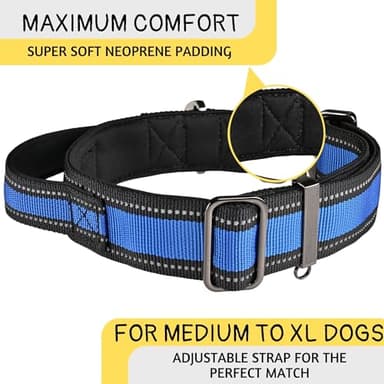 ADITYNA Heavy Duty Dog Collar for Medium Dogs - Medium Dog Collar with Handle - Ultra Comfortable Soft Neoprene Padded - Image 3