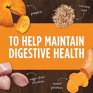 Instinct Raw Boost Mixers Freeze Dried Dog Food Toppers For Dry Food, Grain Free Dog Food Toppers with Chicken For Dogs - Gut Health, 12.5 oz - Image 4