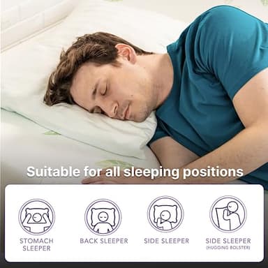 NapQueen Queen Size, 6 Inch Anula Green Tea Infused Memory Foam Mattress, Bed in a Box, CertiPUR-US Certified Mattress - Image 5