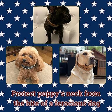 Spiked Studded Dog Collar-Chrome Round Stud Anti-Bite Collar (Blue,M) - Image 6