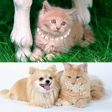 2 Pieces Cute Small Dog Cat Pearl Collars Necklace Set with Crystal Rhinestone for Puppy Kitten Wedding Birthday Party Black Bow Tie L - Image 2