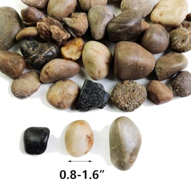 HappyFiller Decorative Natural Pebbles Polished Rocks Stones Mixed Color for Aquarium Gravel,Fish Turtle Tank,Outdoor Indoor Plants Top Dressing,Garden Landscaping,Home Vase Filler Decoration,2 LB - Image 6