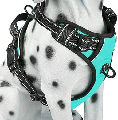 PoyPet No Pull Dog Harness, Reflective Comfortable Vest Harness with Front & Back 2 Leash Attachments and Easy Control Handle Adjustable Soft Padded Pet Vest for Small Medium Large Dogs (Mint Blue,M - Image 2