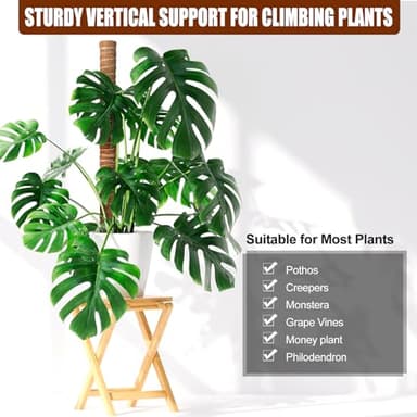 KintKita Large Moss Pole Monstera Plant Support Stakes 116 Inch,4 PCS 20.8 Inch & 2 PCS 16.5 Inch Moss Poles for Plants,Plant Poles for Climbing Plants,Coco Coir Pole for Indoor Plant Grow Upwards - Image 5