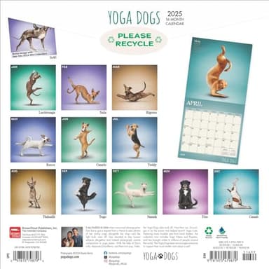 Yoga Dogs OFFICIAL | 2025 12 x 24 Inch Monthly Square Wall Calendar | Plastic-Free | BrownTrout | Animals Humor Pets - Image 2