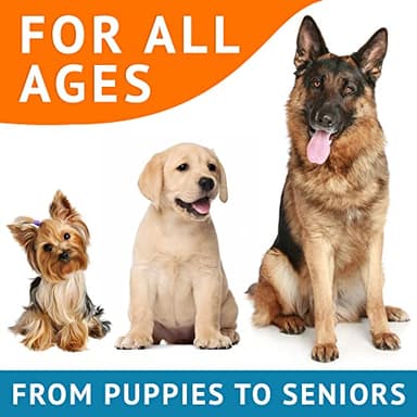 GOODGROWLIES Omega 3 Fish Oil for Dogs (360Ct) - Skin&Coat Chews - Dry & Itchy Skin Relief + Allergy Support - Shiny Coat - EPA&DHA Fatty Acids - Salmon Oil Chews Promotes Heart, Hip & Joint Support - Image 9