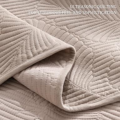 DEVIONIX Velvet Quilt Queen Size, 3-Piece Lightweight Soft Summer Quilt Bedding Set, Breathable Light Taupe Bedspread with Pillow Shams, Luxury Ultrasonic Leaf Pattern Coverlet for All Season - Image 3