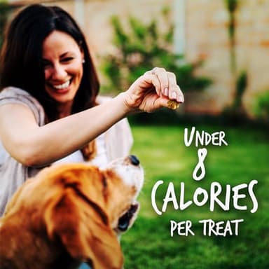 Fruitables Baked Dog Treats, Healthy Pumpkin Treat for Dogs, Low Calorie & Delicious, Free of Wheat, Corn and Soy, Made in the USA, Apple and Crispy Bacon Flavor, 12oz - Image 6